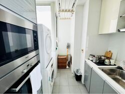 The Riverine By The Park (D12), Apartment #590289481